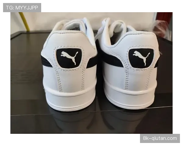 彪马成为又一家与德甲联盟签署长期装备合作赞助商